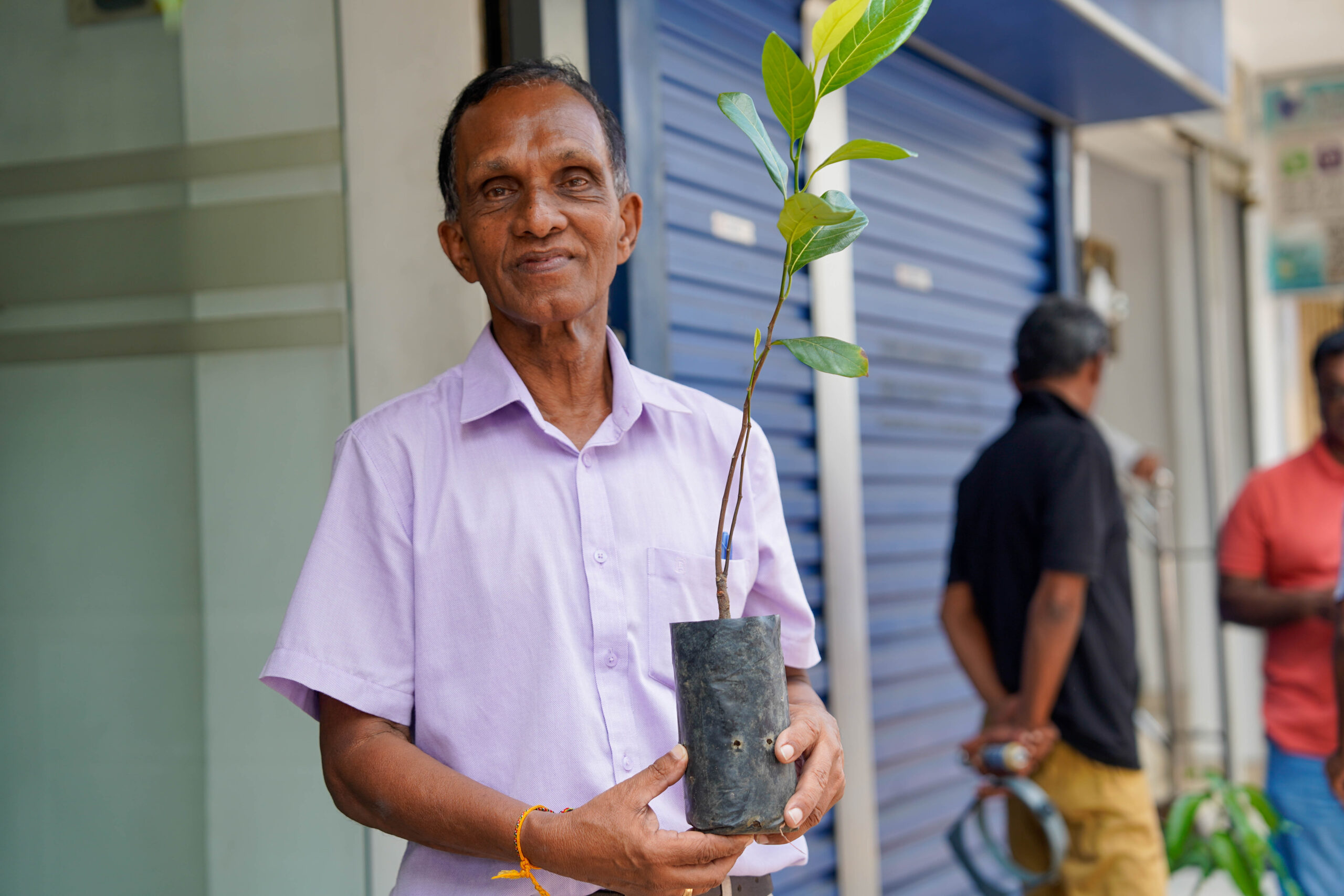 Reforestation initiative in Ratnapura, Sri Lanka